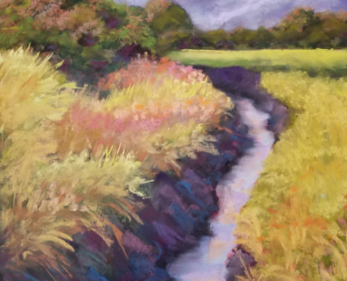 Padilla Slough